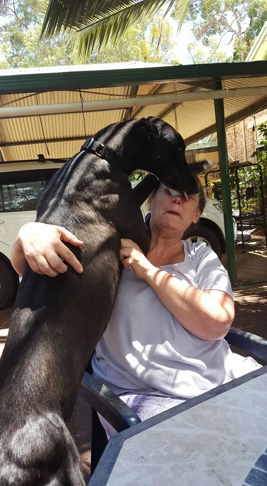 Review image 1 from Kim T